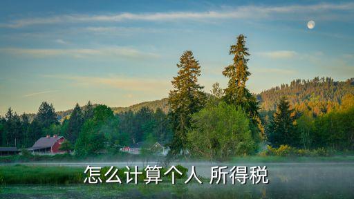 個人收入所得稅,財政預算案2021