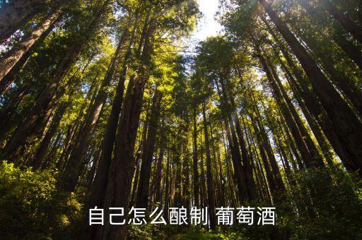 自己怎么釀制 葡萄酒