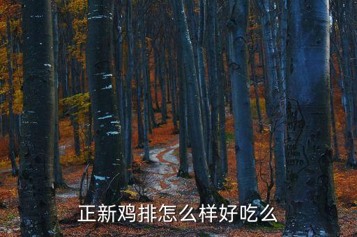 東莞石龍鎮(zhèn)正新雞排店，正新雞排第一佳雞排那個好吃