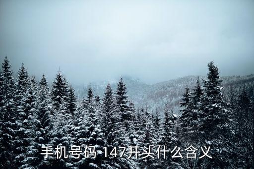 手機號碼 147開頭什么含義