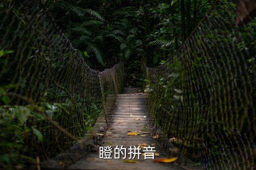 瞪的拼音