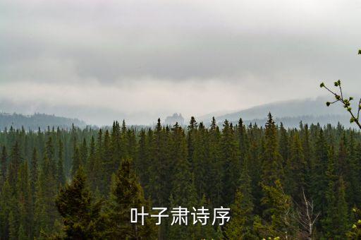 詩(shī)序，詩(shī)序 是什么意識(shí)