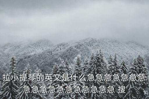 拉小提琴用英語怎么說，拉小提琴用英語怎么說