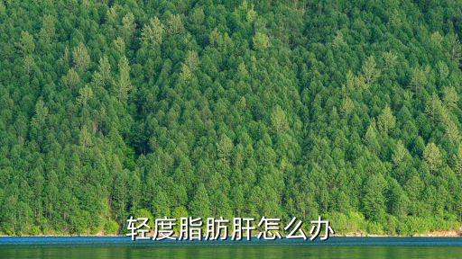 輕度脂肪肝怎么辦