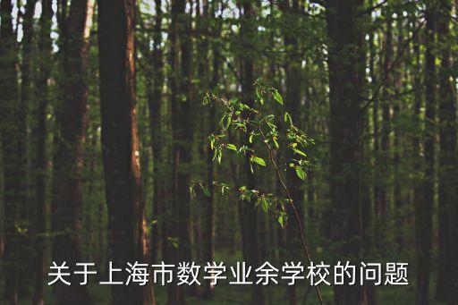 關于上海市數學業余學校的問題