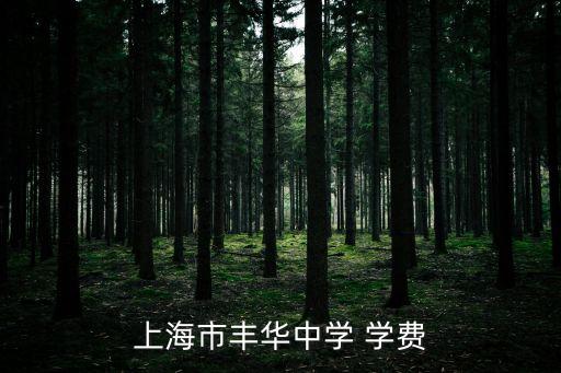 上海市豐華中學(xué) 學(xué)費