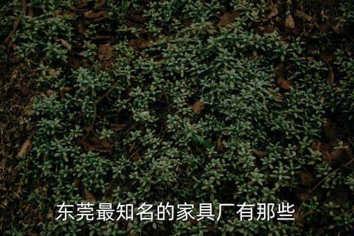 東莞最知名的家具廠有那些