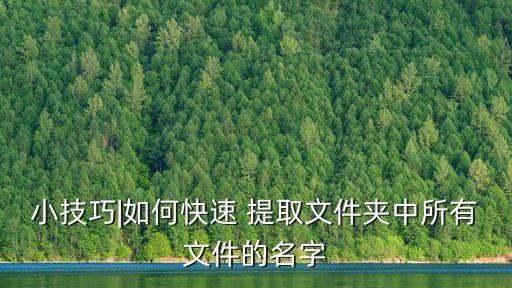 文件名提取,用要生成的統計名稱在文件夾下創建新文本文件