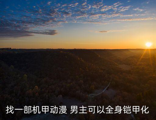 找一部機(jī)甲動(dòng)漫 男主可以全身鎧甲化