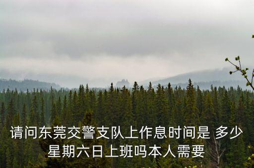 請問東莞交警支隊上作息時間是 多少星期六日上班嗎本人需要