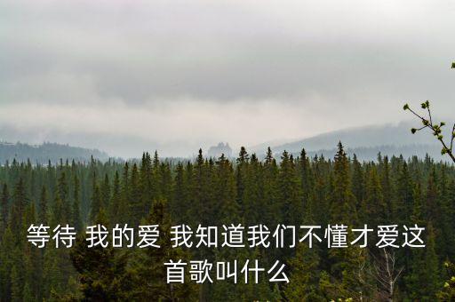 等待 我的愛 我知道我們不懂才愛這首歌叫什么