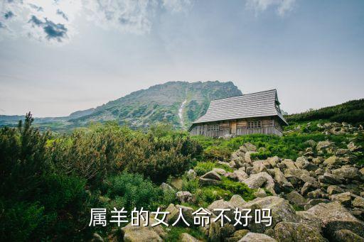屬羊的女人命不好嗎