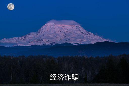 經濟詐騙罪，經濟詐騙