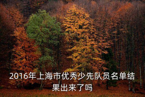 2016年上海市優秀少先隊員名單結果出來了嗎