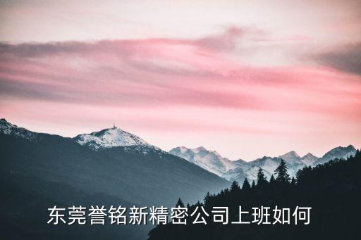 東莞譽(yù)銘新底薪多少，東莞譽(yù)銘新精密公司上班如何
