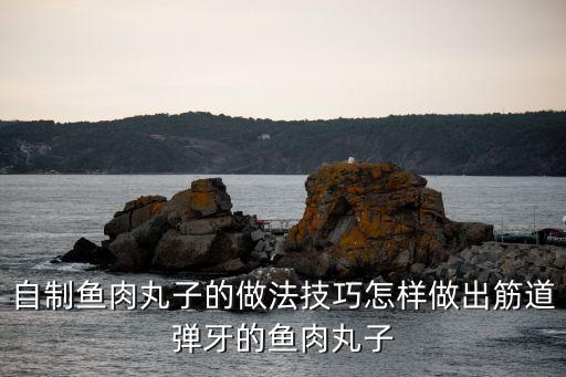 自制魚肉丸子的做法技巧怎樣做出筋道彈牙的魚肉丸子