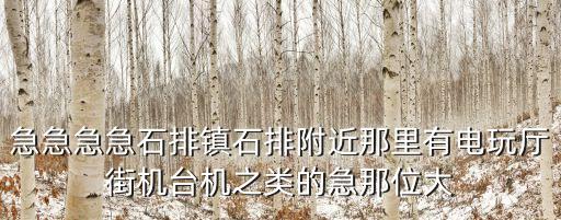 急急急急石排鎮石排附近那里有電玩廳街機臺機之類的急那位大