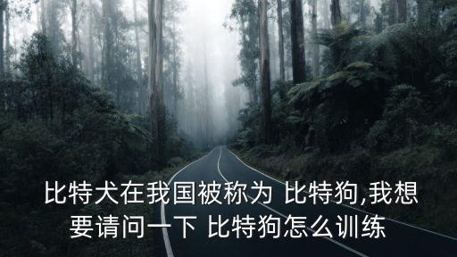  比特犬在我國被稱為 比特狗,我想要請問一下 比特狗怎么訓練