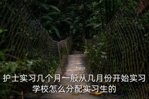 護士實習幾個月一般從幾月份開始實習學校怎么分配實習生的