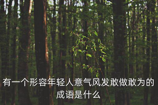 有一個形容年輕人意氣風(fēng)發(fā)敢做敢為的成語是什么