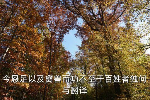 今恩足以及禽獸而功不至于百姓者獨(dú)何與翻譯
