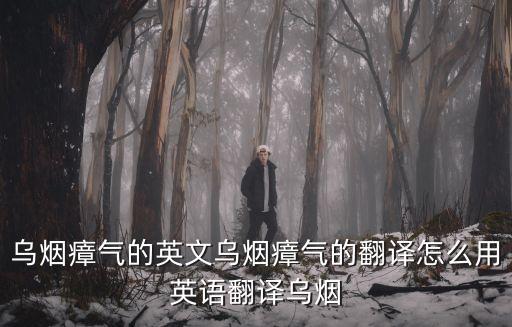 烏煙瘴氣的英文烏煙瘴氣的翻譯怎么用英語翻譯烏煙