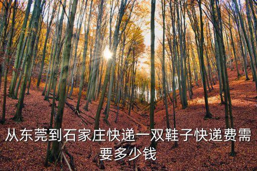 從東莞到石家莊快遞一雙鞋子快遞費需要多少錢