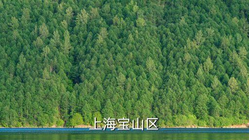 上海市寶山區劉行鎮陳行村，上海寶山區陳家行鎮郵政編號多少啊