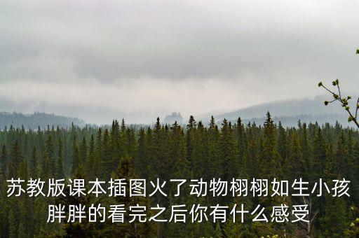 蘇教版課本插圖火了動物栩栩如生小孩胖胖的看完之后你有什么感受