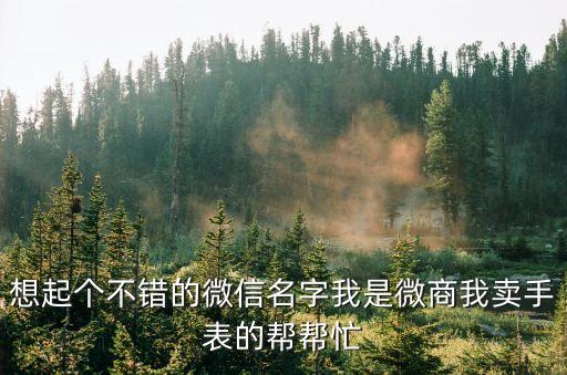 想起個不錯的微信名字我是微商我賣手表的幫幫忙