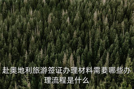 赴奧地利旅游簽證辦理材料需要哪些辦理流程是什么