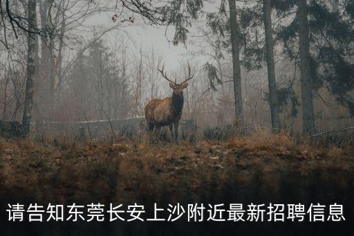 東莞長安部隊幼兒園招聘信息，東莞市長安鎮(zhèn)招聘信息