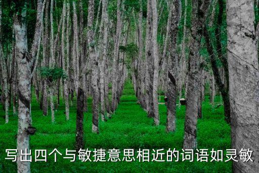 寫出四個與敏捷意思相近的詞語如靈敏