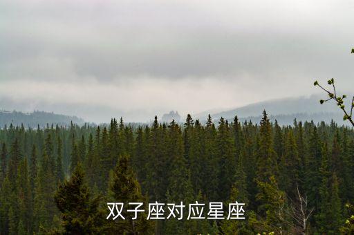 雙子座星座，雙子的星座
