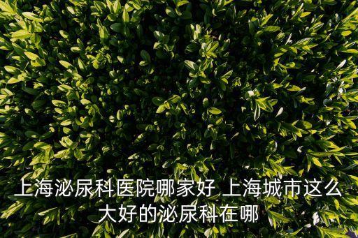 上海泌尿科醫(yī)院哪家好 上海城市這么大好的泌尿科在哪