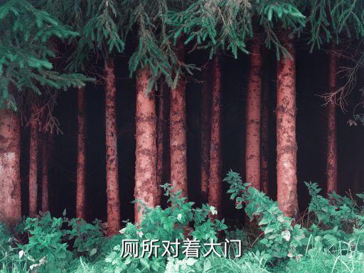 廁所對著大門