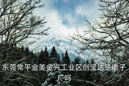 東莞常平金美金興工業(yè)區(qū)創(chuàng)寶達(dá)是電子廠嗎