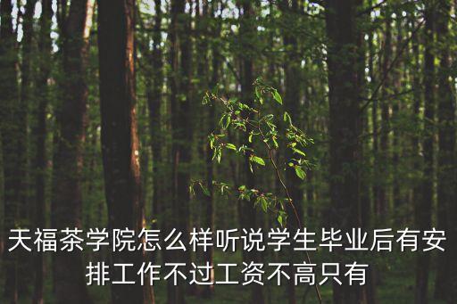 天福茶學院，355能上天福茶學院嗎