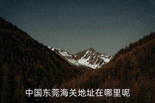 東莞市海關黃征，中國東莞海關地址在哪里呢