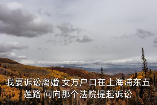 上海市華榮律師宋立華，我要訴訟離婚 女方戶口在上海浦東五蓮路 問向那個法院提起訴訟