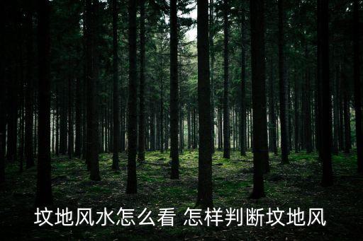 怎樣看墳地風水，墳地風水怎么看 怎樣判斷墳地風