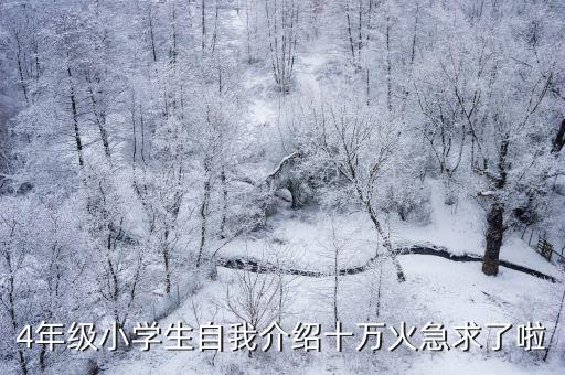 4年級小學生自我介紹十萬火急求了啦