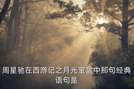 周星馳在西游記之月光寶盒中那句經典語句是