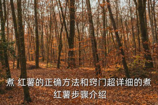 煮 紅薯的正確方法和竅門超詳細的煮 紅薯步驟介紹