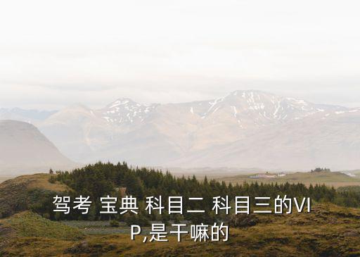  駕考 寶典 科目二 科目三的VIP,是干嘛的