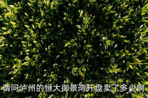 請問瀘州的恒大御景灣開盤賣了多少啊