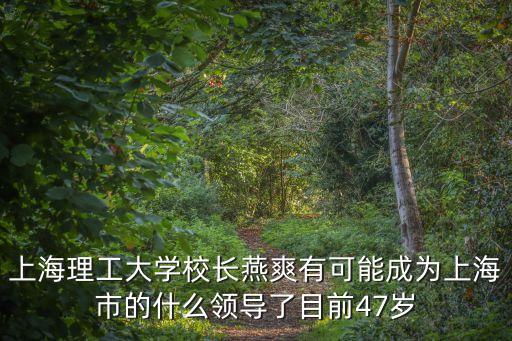 上海理工大學(xué)校長燕爽有可能成為上海市的什么領(lǐng)導(dǎo)了目前47歲