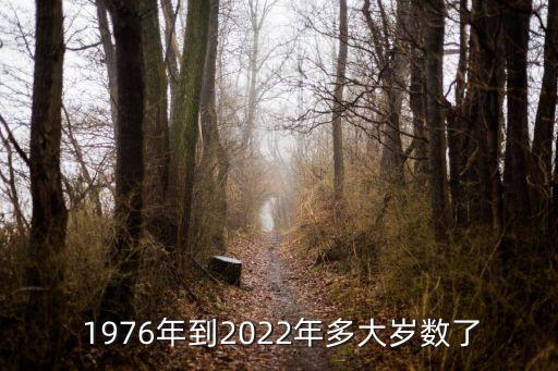 1976年多大,2022年到2020年共366天