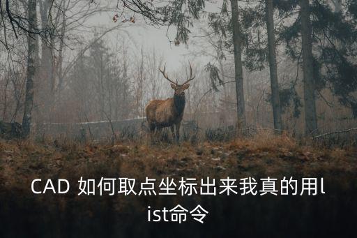 cad提取坐標，CAD 如何取點坐標出來我真的用list命令