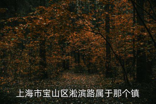 上海市寶山區(qū)淞濱路屬于那個(gè)鎮(zhèn)
